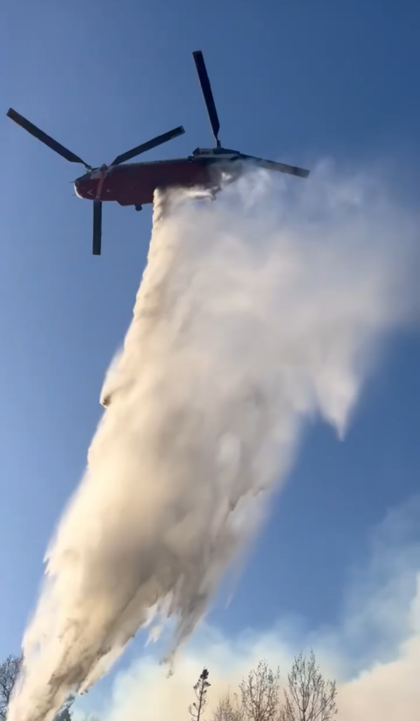 Jenkins Creek Fire