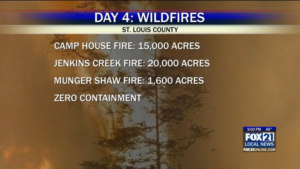 Day 4