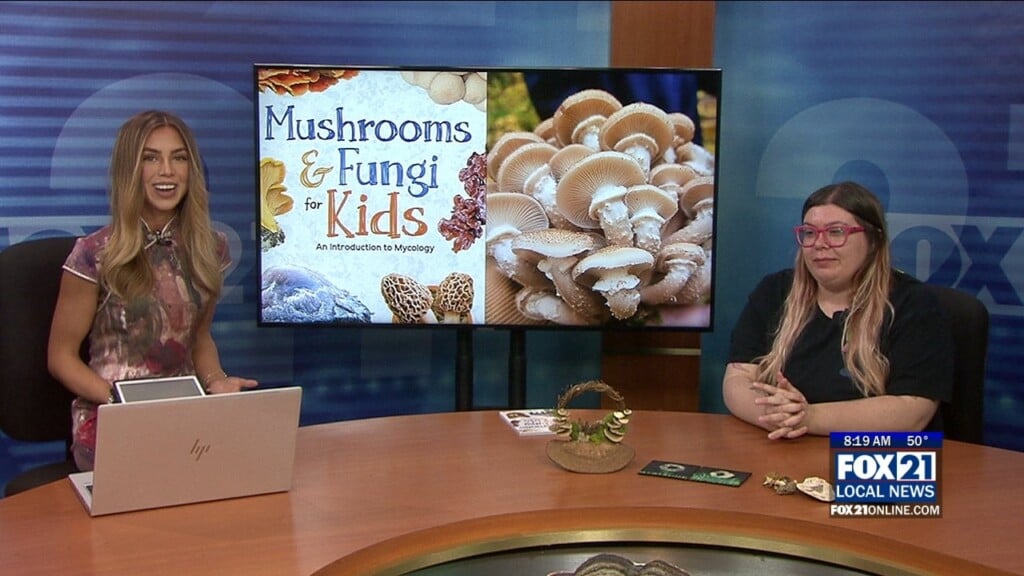 Kqds1 Tue May 27 08 00