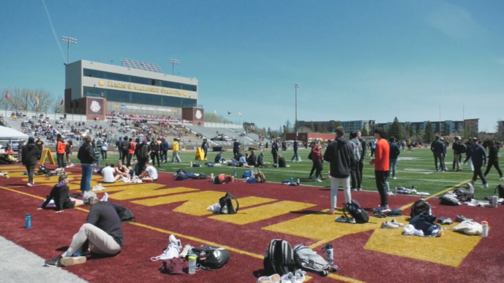 Umd Tf Web