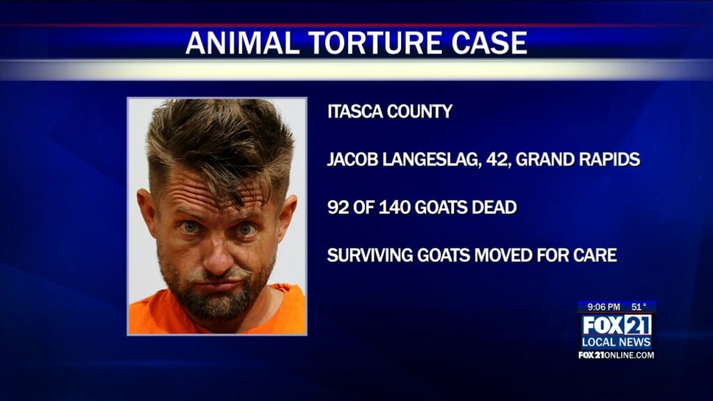 Animal Tourture