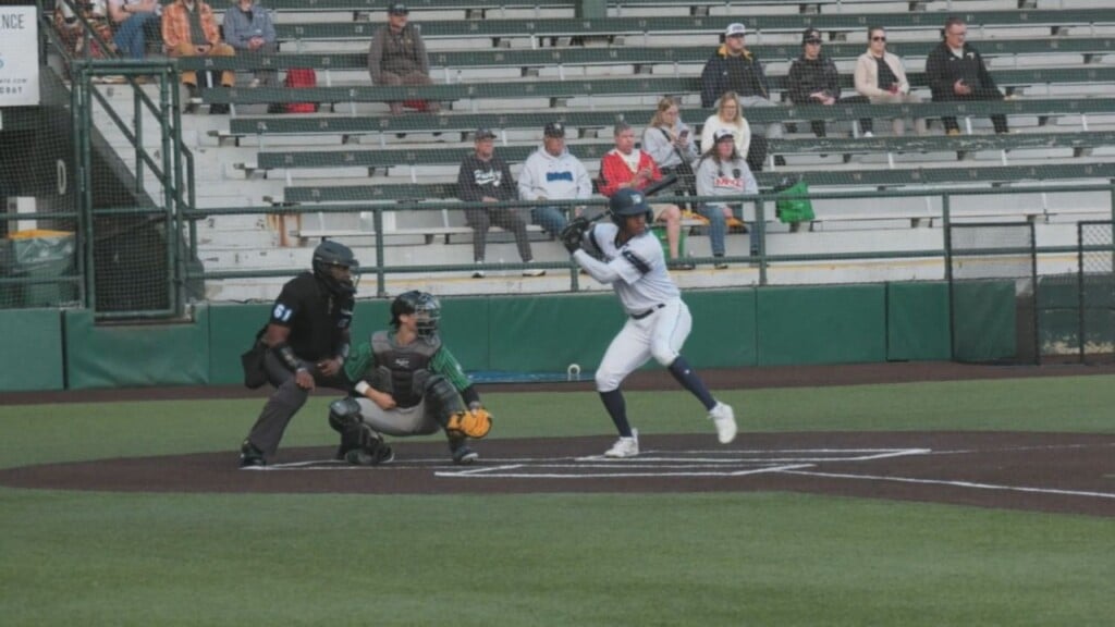 Huskies Web 65