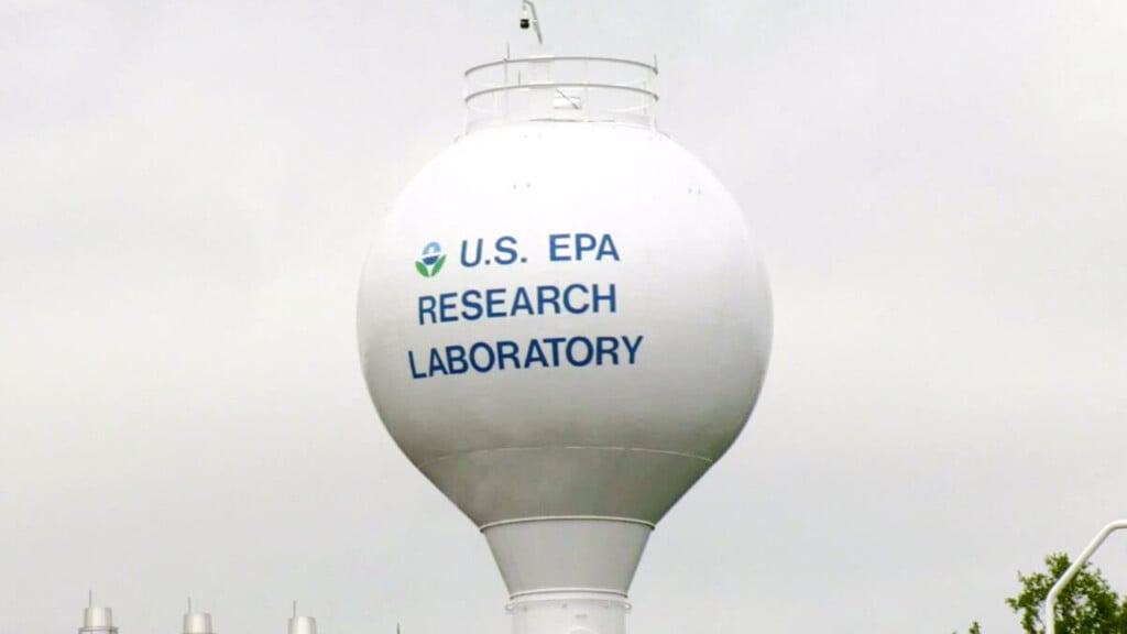Epaunionfears