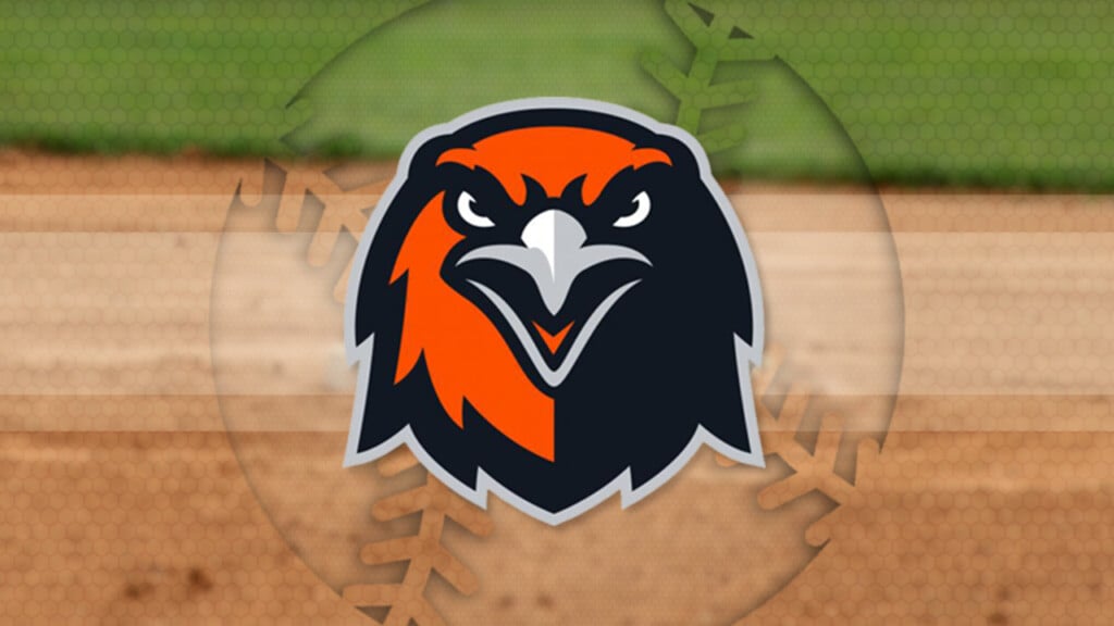 Grandrapidsbaseball1