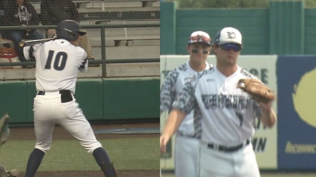 Huskies Web 723