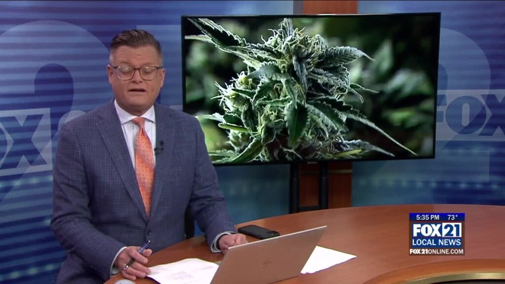 Mn Office Of Cannabis Management Announces Recipients Of Canrenew Grant