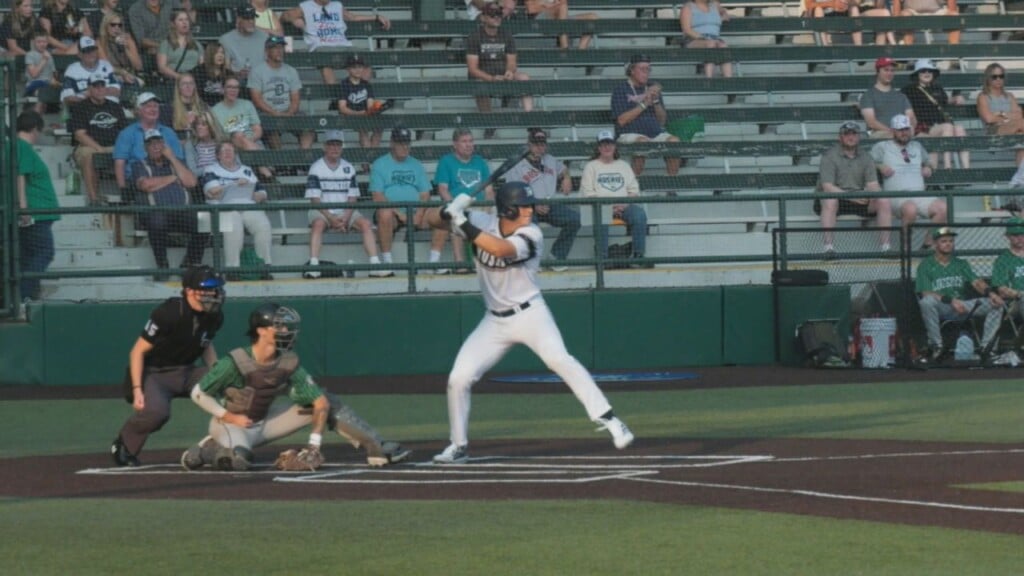Huskies Web 811