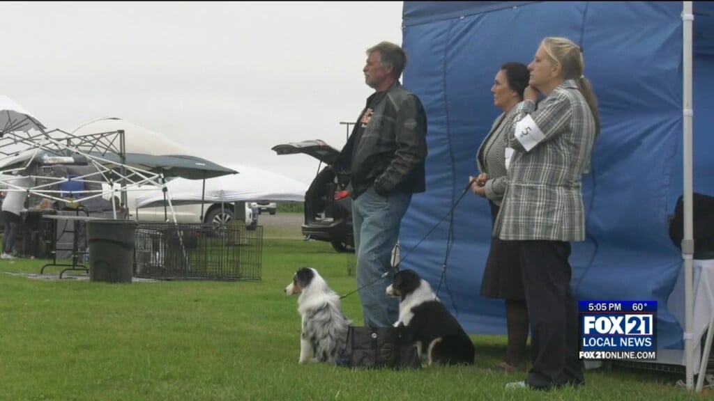Lake Superior Cluster Dog Show Begins