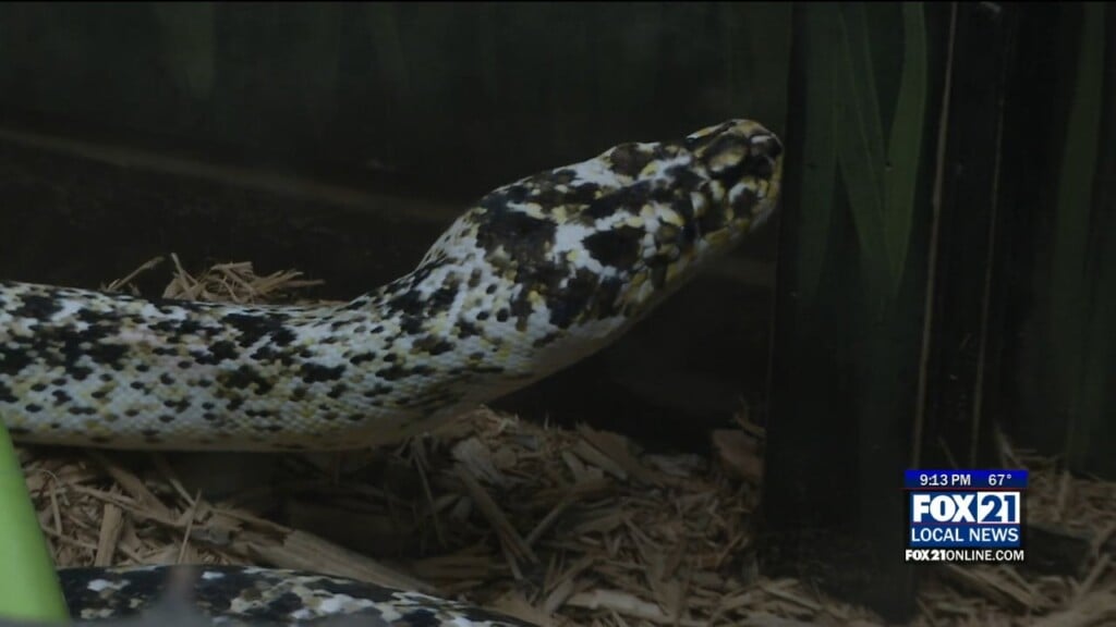 Zoo Donations