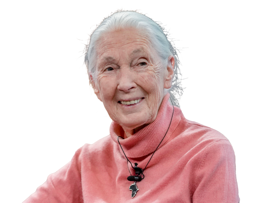 Jane Goodall 25274666354675