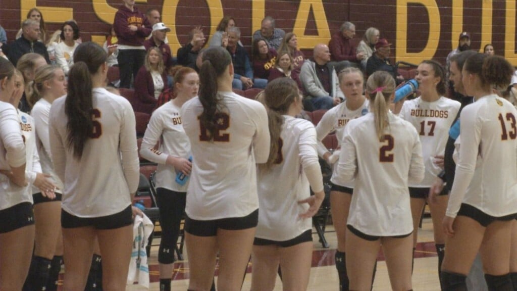 Umd Vb Web