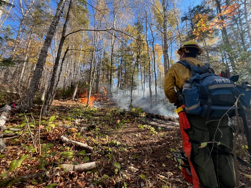 Crosby Fire 10/11/2025