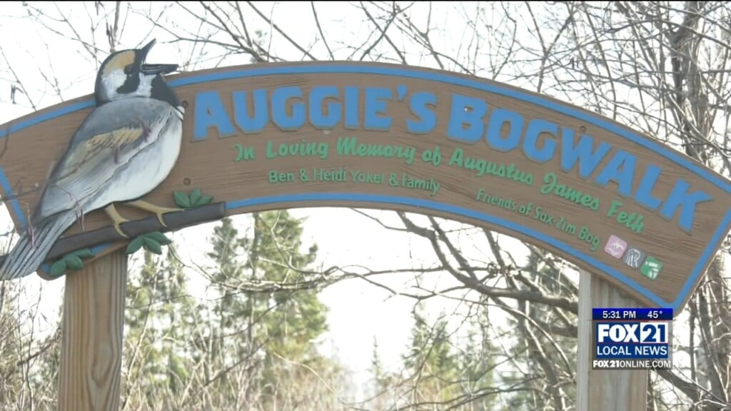 Sax Zim Bog Tripling Its Popular Boardwalk