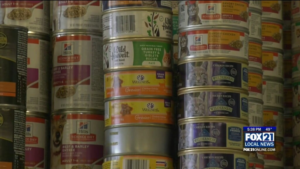 Northland Animal Rescues Expand Support During Snap Pause