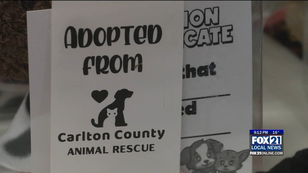 Carlton County Animal Rescue Hosts Open House For Interested Families