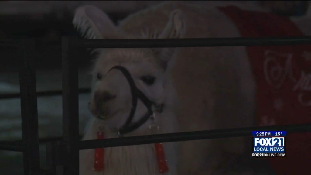 Bentleyville Welcomes "zoo Crew" To Tour Of Lights