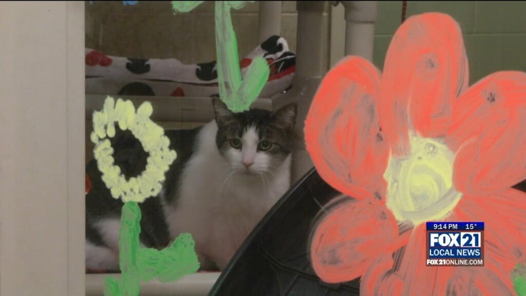 Jordan Decaro Real Estate Team Donates $100 For Every Home Sold In 2025