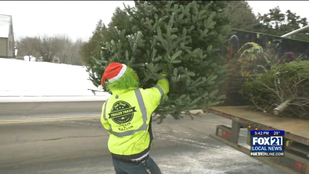 Twin Ports Trailer Trash Gearing Up For Christmas Tree Pickup