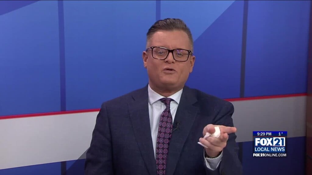 Tina The Tina Turner Musical Coming To The Decc!