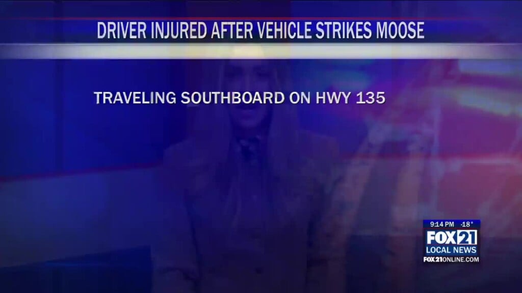 Driver Injured After Vehicle Strikes Moose On Highway 135