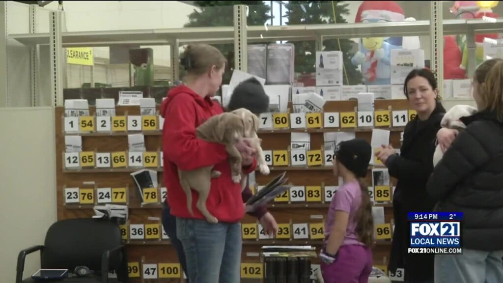 Pj's Resue Hosted An Adoption Event At Fleet Farm