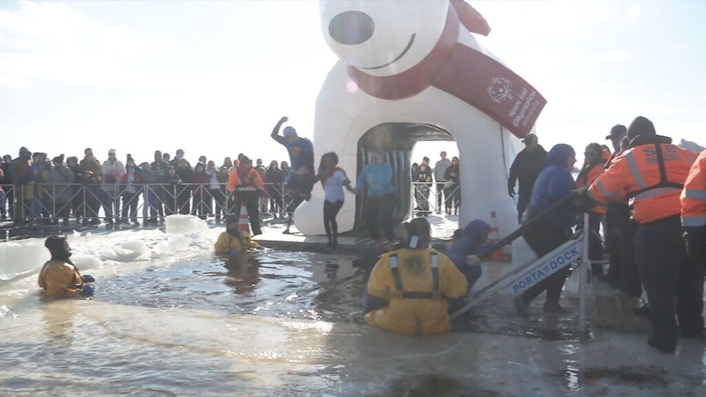 Polar Plunge Still