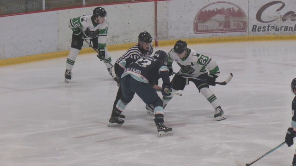 Wilderness Web 21326