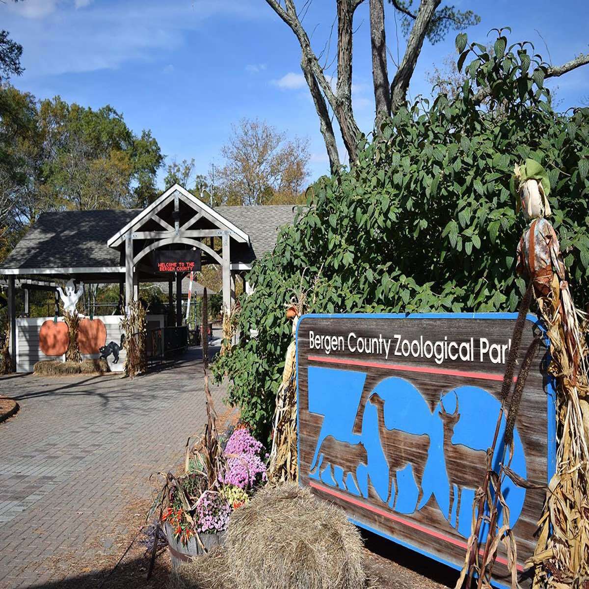 Bergen County Zoo Entrance Fee