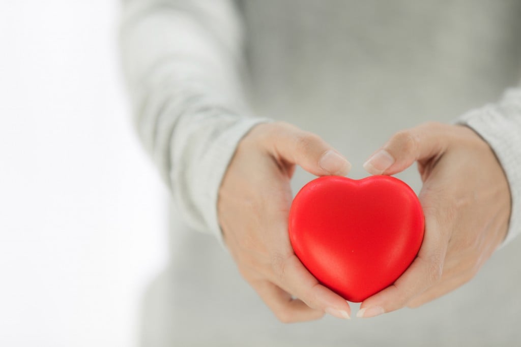 Female Hands Giving Red Heart, Heart In The Hands.