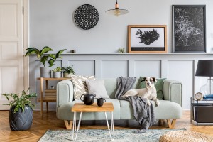 Stylish Interior Design Of Living Room With Modern Mint Sofa, Wooden Console, Furniture, Plant, Mock Up Poster Frame, Pdecoration , Elegant Accessories In Home Decor And Dog Lying On The Couch.