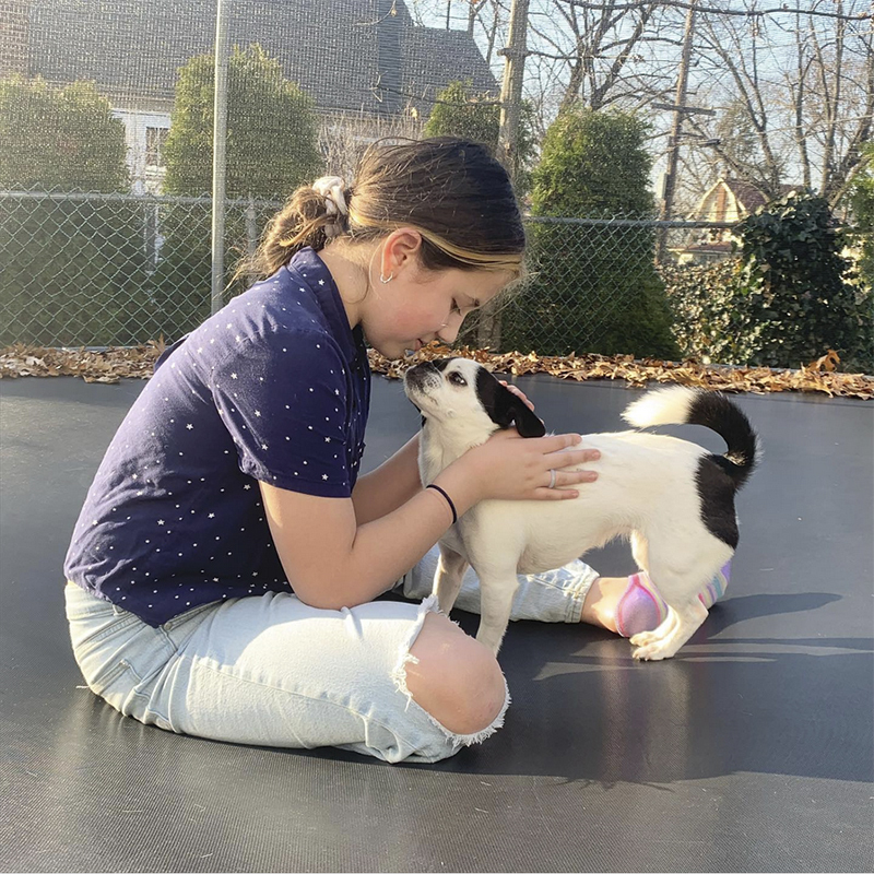 3 Pup Stolen Heart