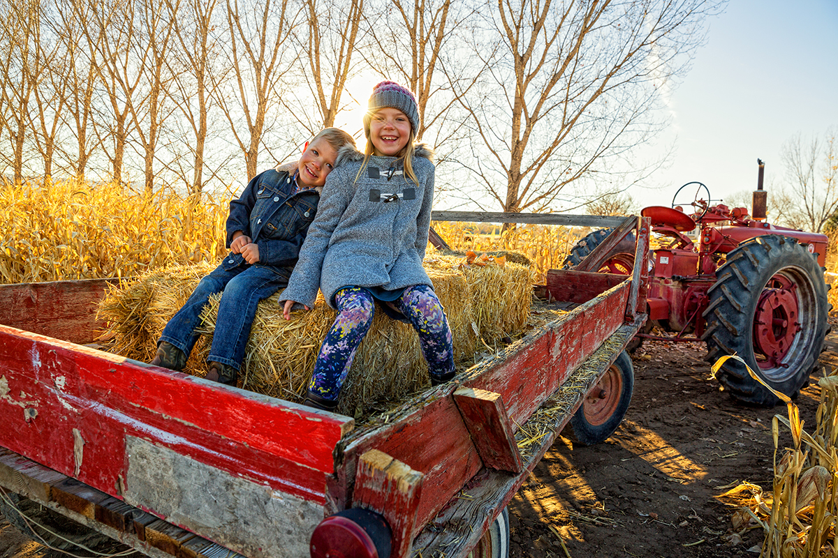 5 Bergen Farms With Family Hayrides Health & Life Magazine