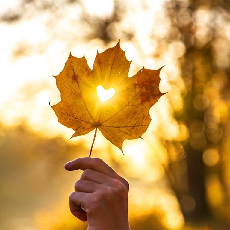 the-best-places-to-see-fall-colours-in-canada-canada-international