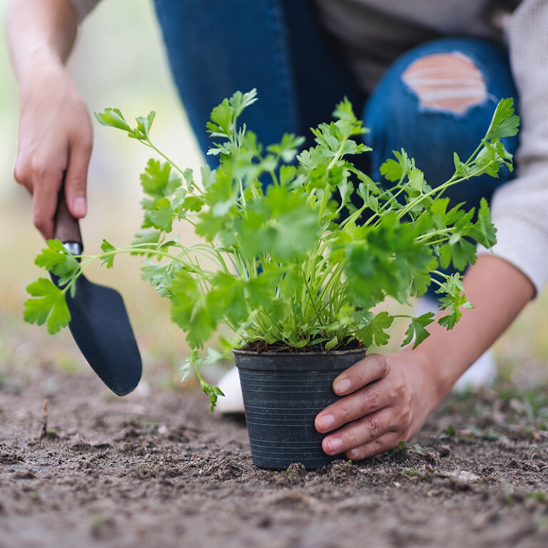 6 Tips To Prep Your Garden For Spring Health & Life Magazine