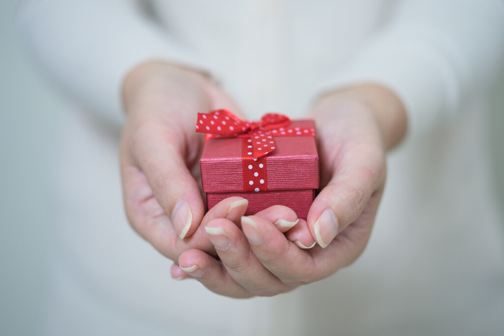 Female Hands Holding Beautiful Small Gift Box