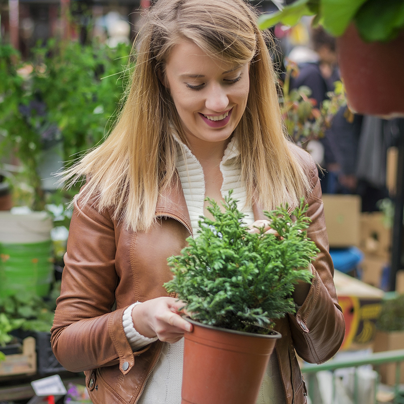 4 Ways To Develop Your Green Thumb - Health & Life Magazine