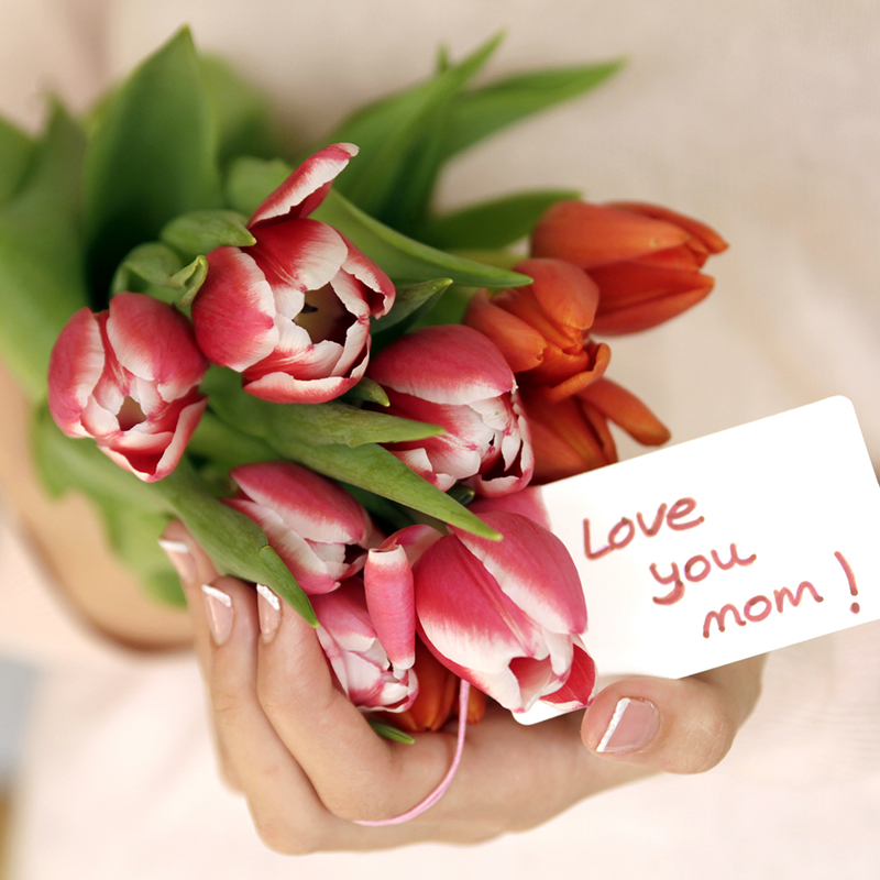 Close Up Of Hands Holding Tulips For Mom