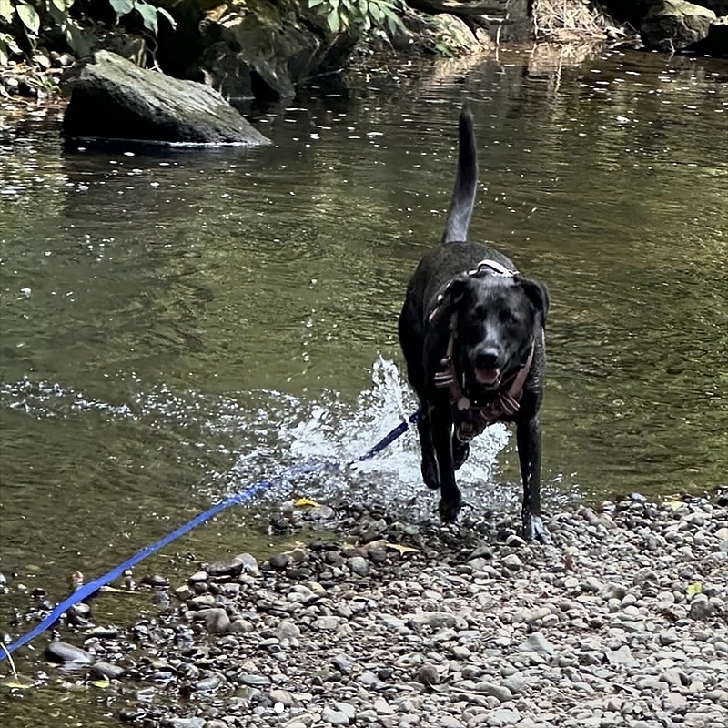 3 Keeping Cool