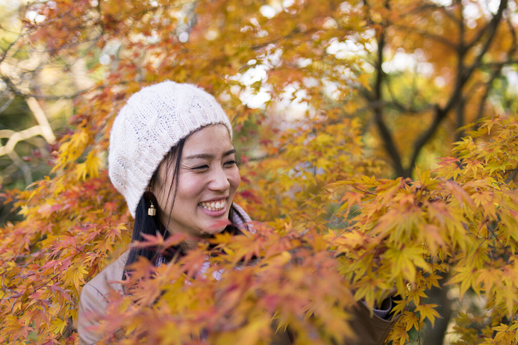 1 Leaf Peeping
