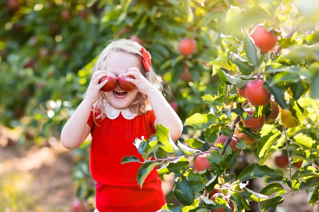 1 Local Farms Apples