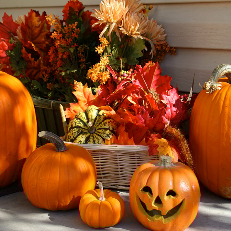 2 Pumpkin Care
