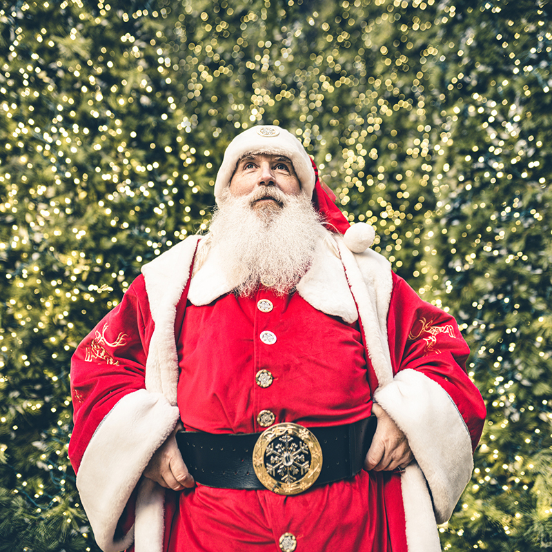 Santa Clause And The Christmas Tree
