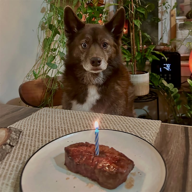3 Hungry Eyes
