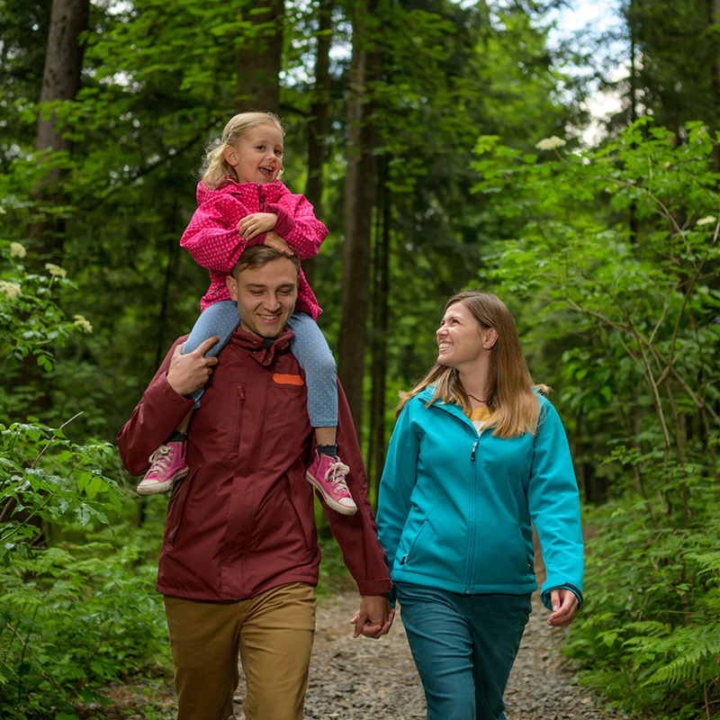 Family Walking Together In Forest