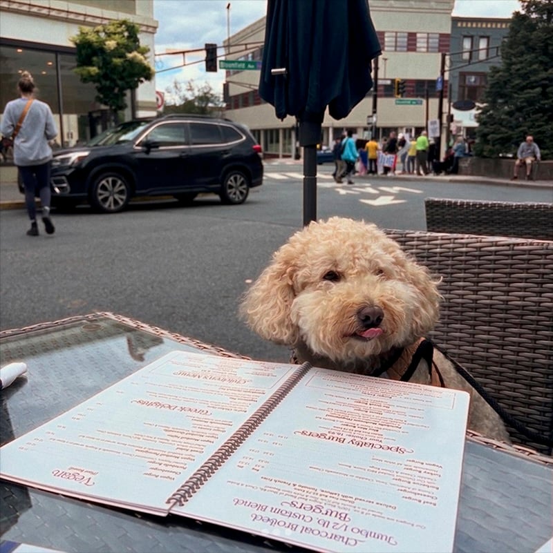 3 Alfresco With Fido