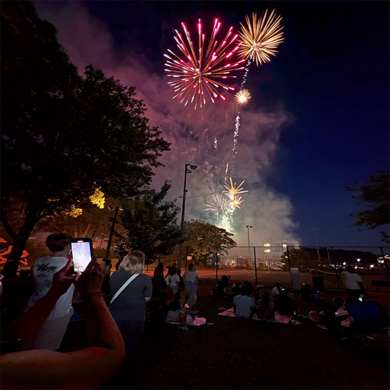 Fireworks in the night sky