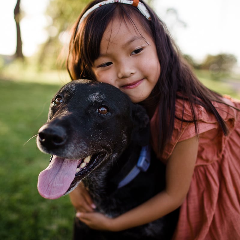 adopt