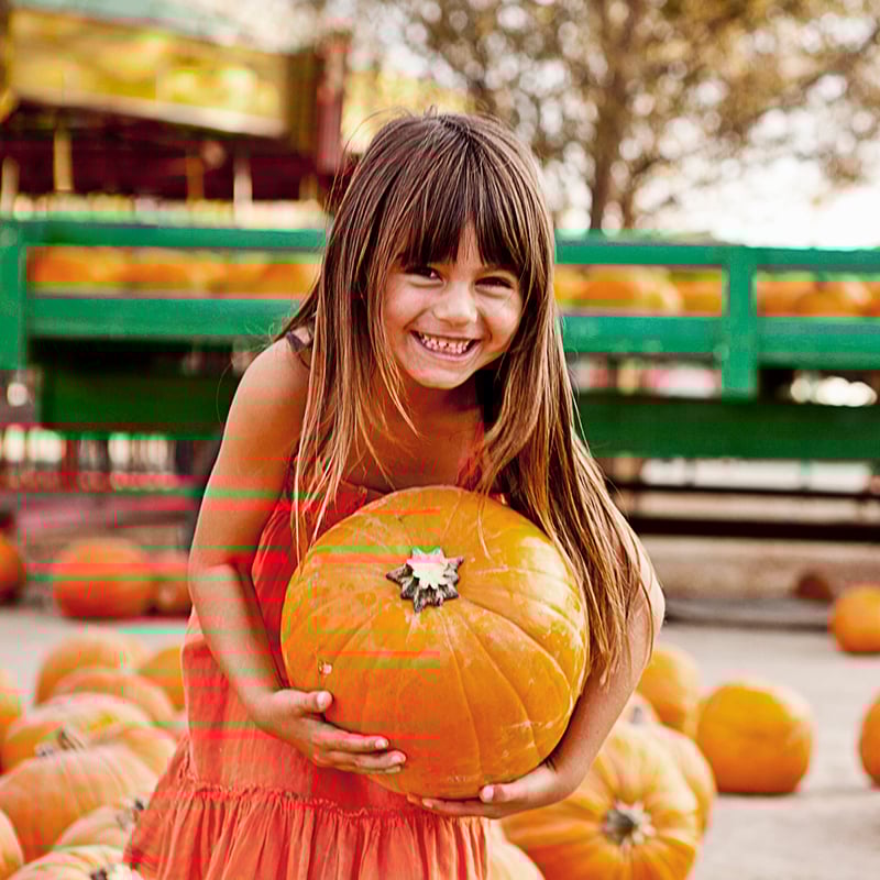 1 Fall Festivals
