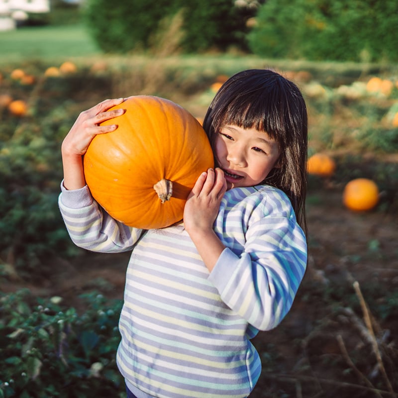 1 Events Kickstart Fall