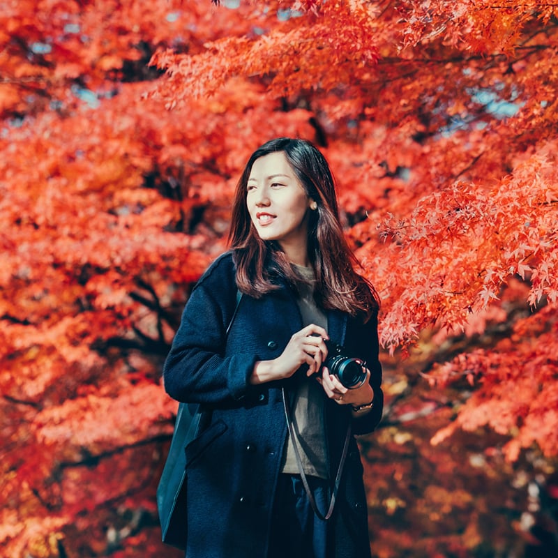 4 Leaf Peeping